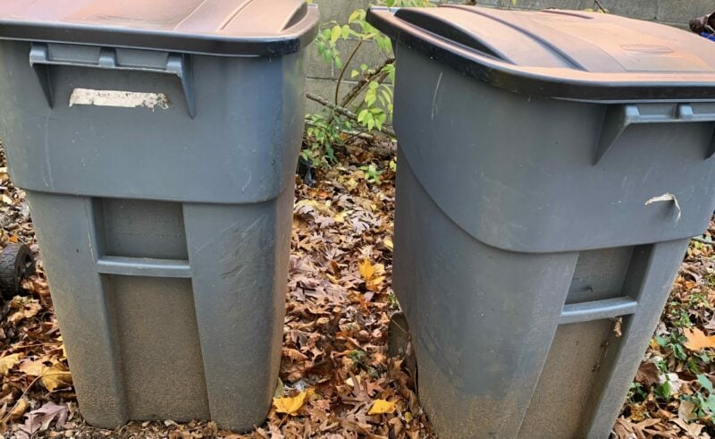 Opinion: Stop Bagging Leaves in Plastic - Huntington Now